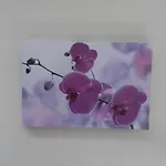 Jp * Aveiro
