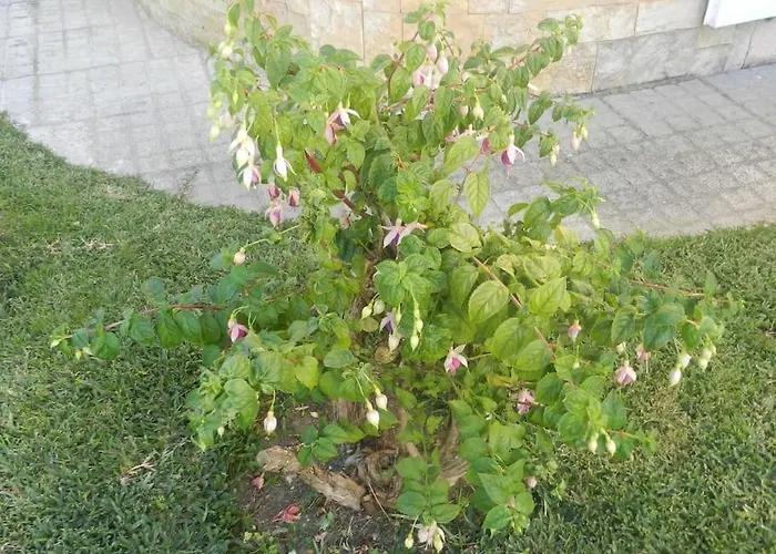 Jp Séjour chez l'habitant *