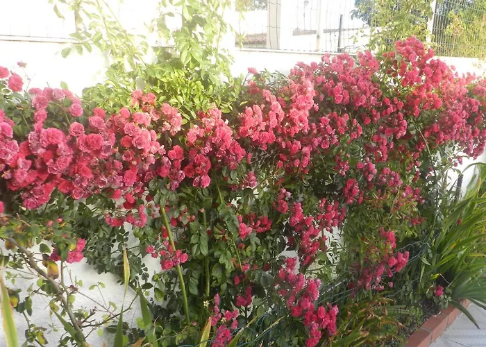 Jp Séjour chez l'habitant